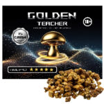 Goldenteacher_product_shop500x500